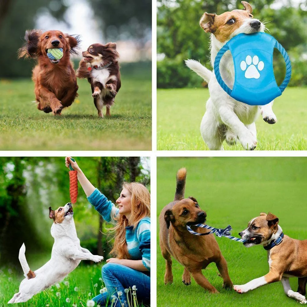 10-Piece Pet Dog Chew Toy Interactive Rope Toys Set