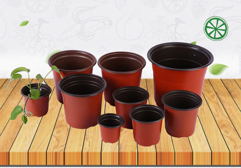 100 X Plant Flower Garden Pots Nursery Seedlings Pot Growing Container (120mm) - Image 13