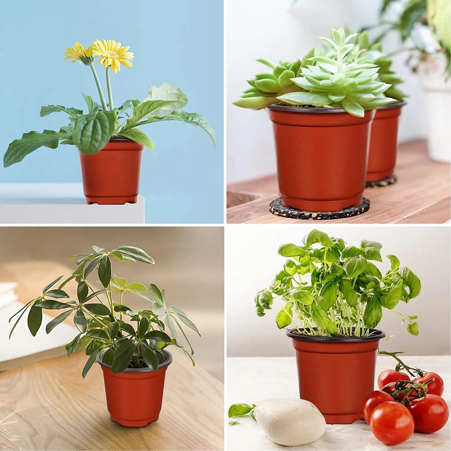 100 X Plant Flower Garden Pots Nursery Seedlings Pot Growing Container (120mm) - Image 17
