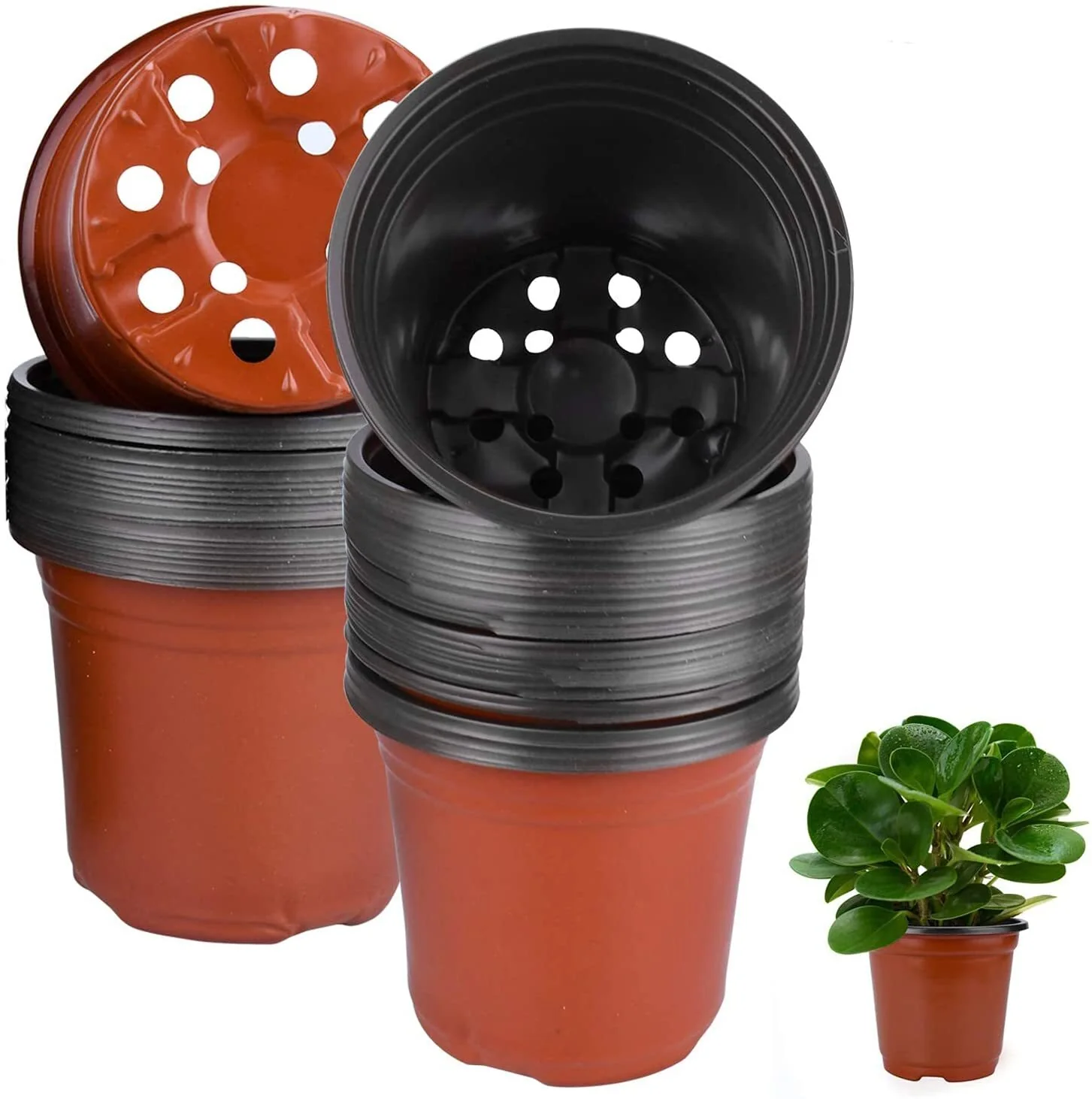 100 X Plant Flower Garden Pots Nursery Seedlings Pot Growing Container (120mm) - Image 18