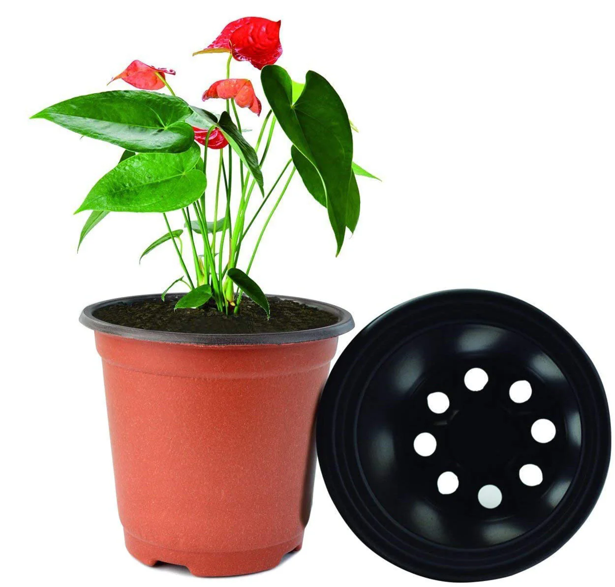 100 X Plant Flower Garden Pots Nursery Seedlings Pot Growing Container (120mm) - Image 4