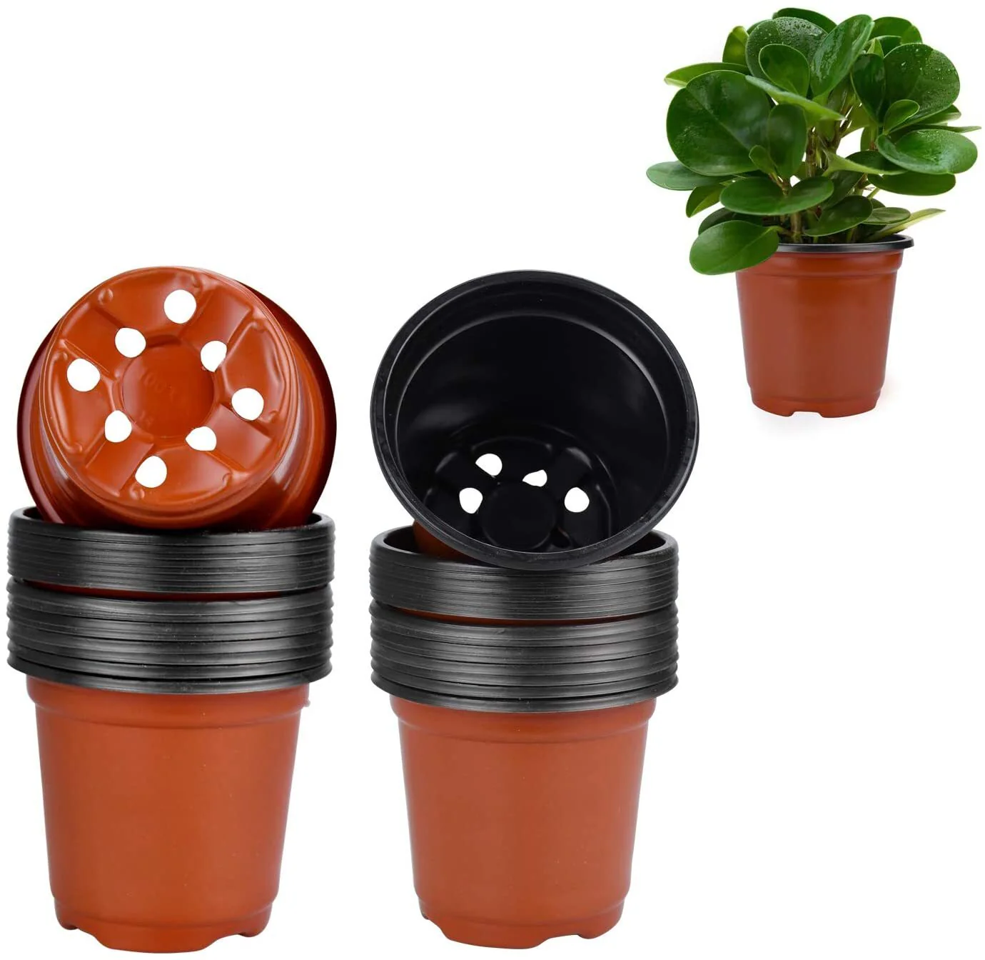 100 X Plant Flower Garden Pots Nursery Seedlings Pot Growing Container (120mm) - Image 6