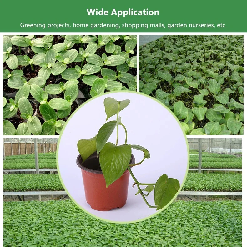 100 X Plant Flower Garden Pots Nursery Seedlings Pot Growing Container (120mm) - Image 8