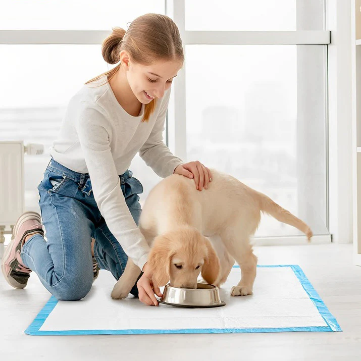 100 X Puppy Pads Dog Toilet Training Mats (33cm x 45cm) - Image 5