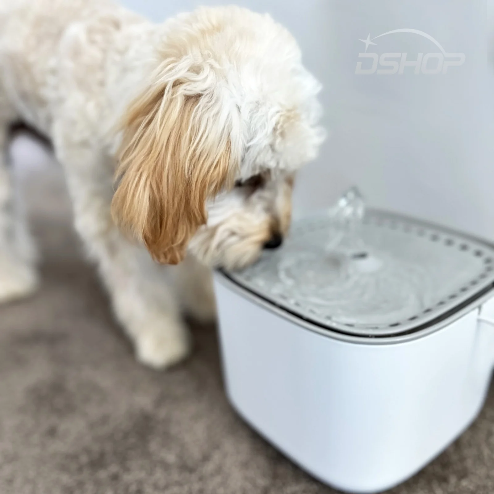 3L Pet Water Fountain Automatic Electric Dispenser Dogs Cats Drink Filter Pump - Image 8