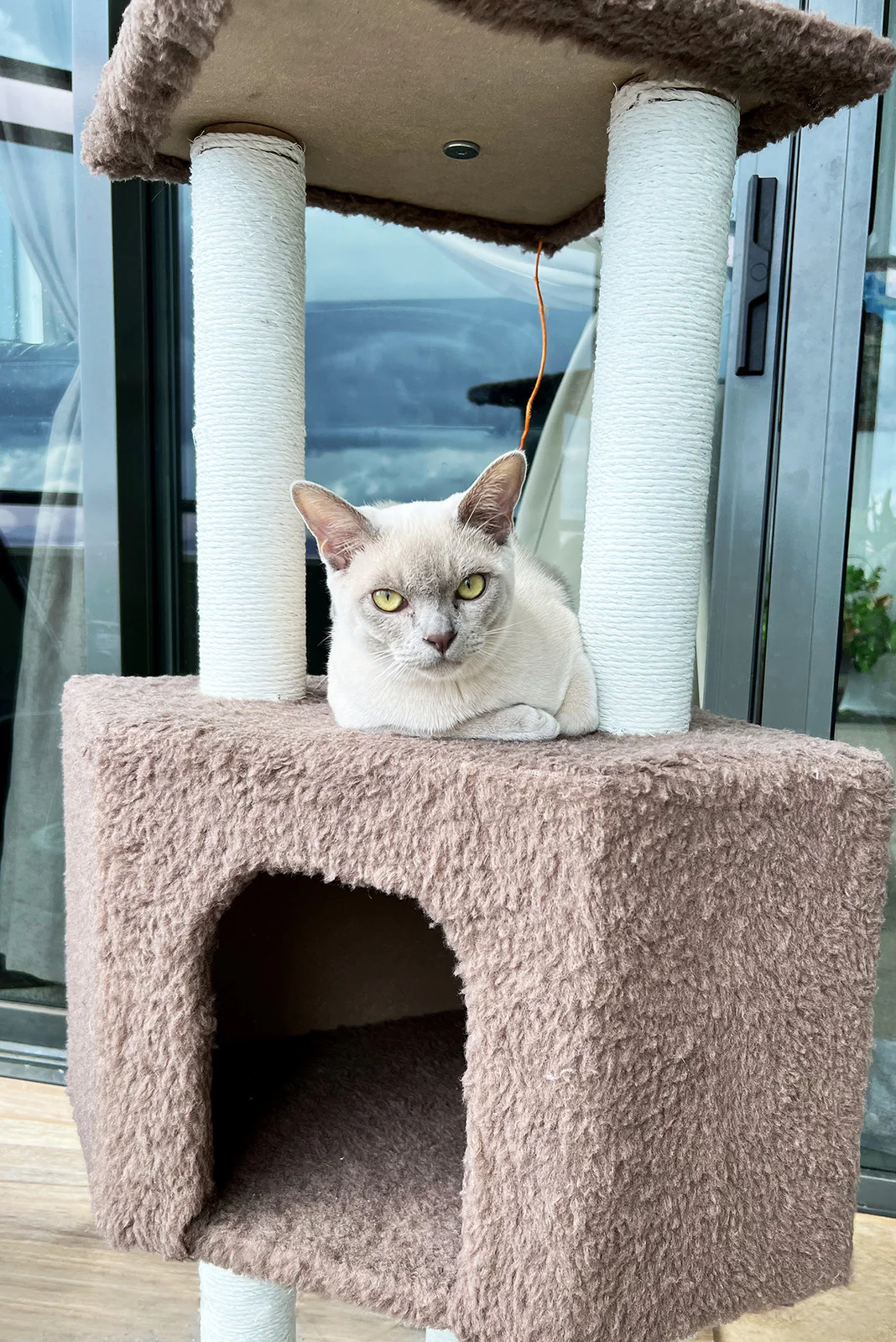 4-Level Large Cat Scratching Post Pole Tower (Tan) - Image 9