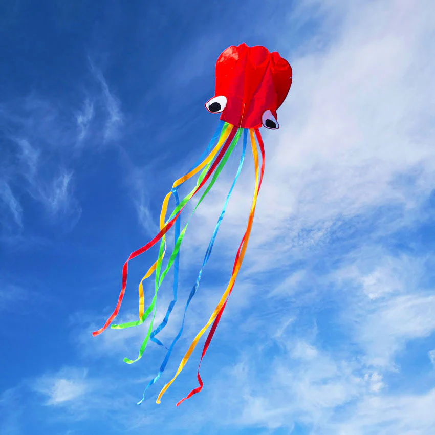 4m Large Octopus Kite with Free Strings - Image 5