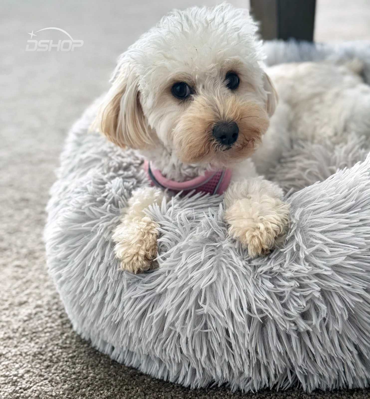 Cozy Plush Soft Fluffy Pet Bed Dog Cat Bed (Light Grey, 50cm) - Image 14