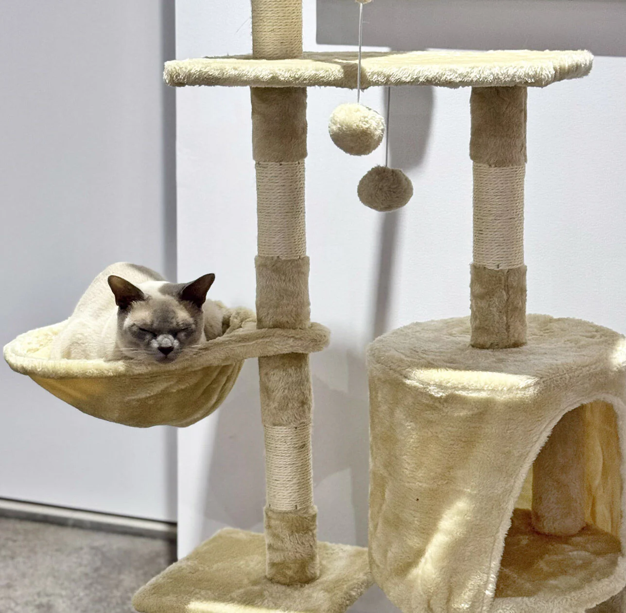 Deluxe Multi-Level Cat Tree Tower with Scratching Posts - Image 12
