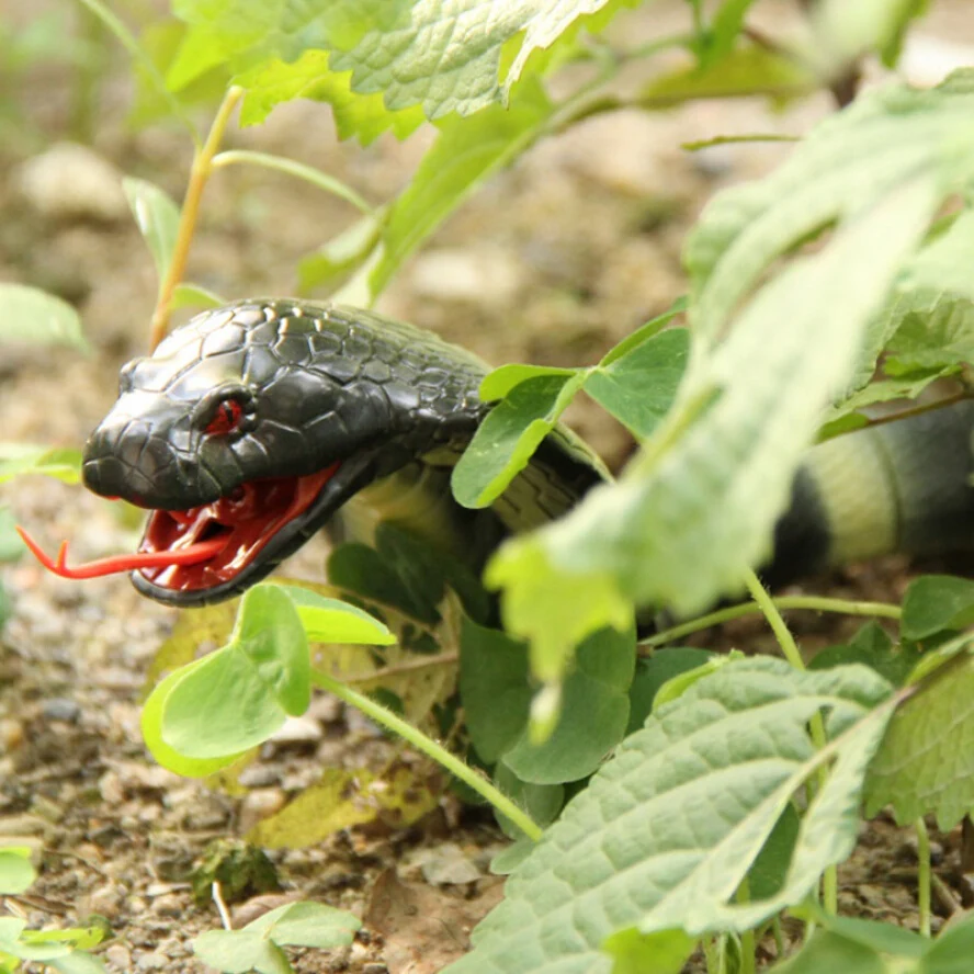 Infrared Remote Control Realistic Snake Toy - Image 10