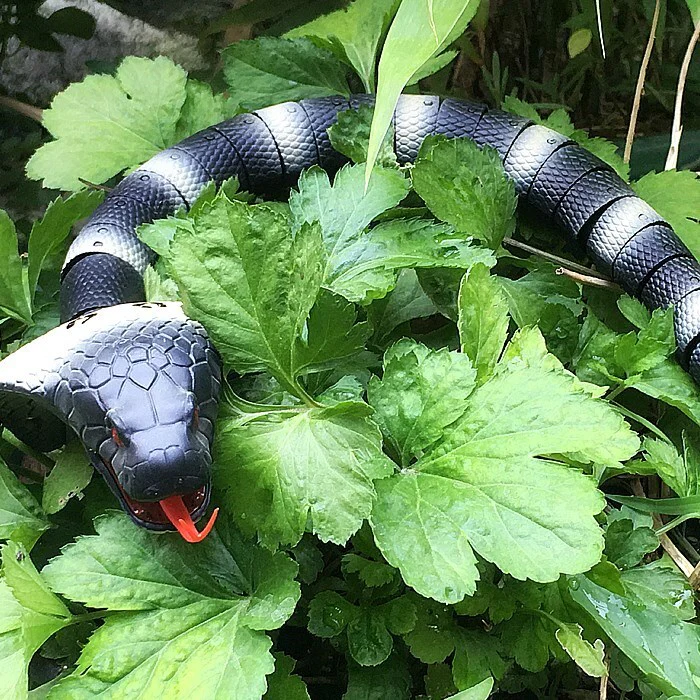 Infrared Remote Control Realistic Snake Toy - Image 3