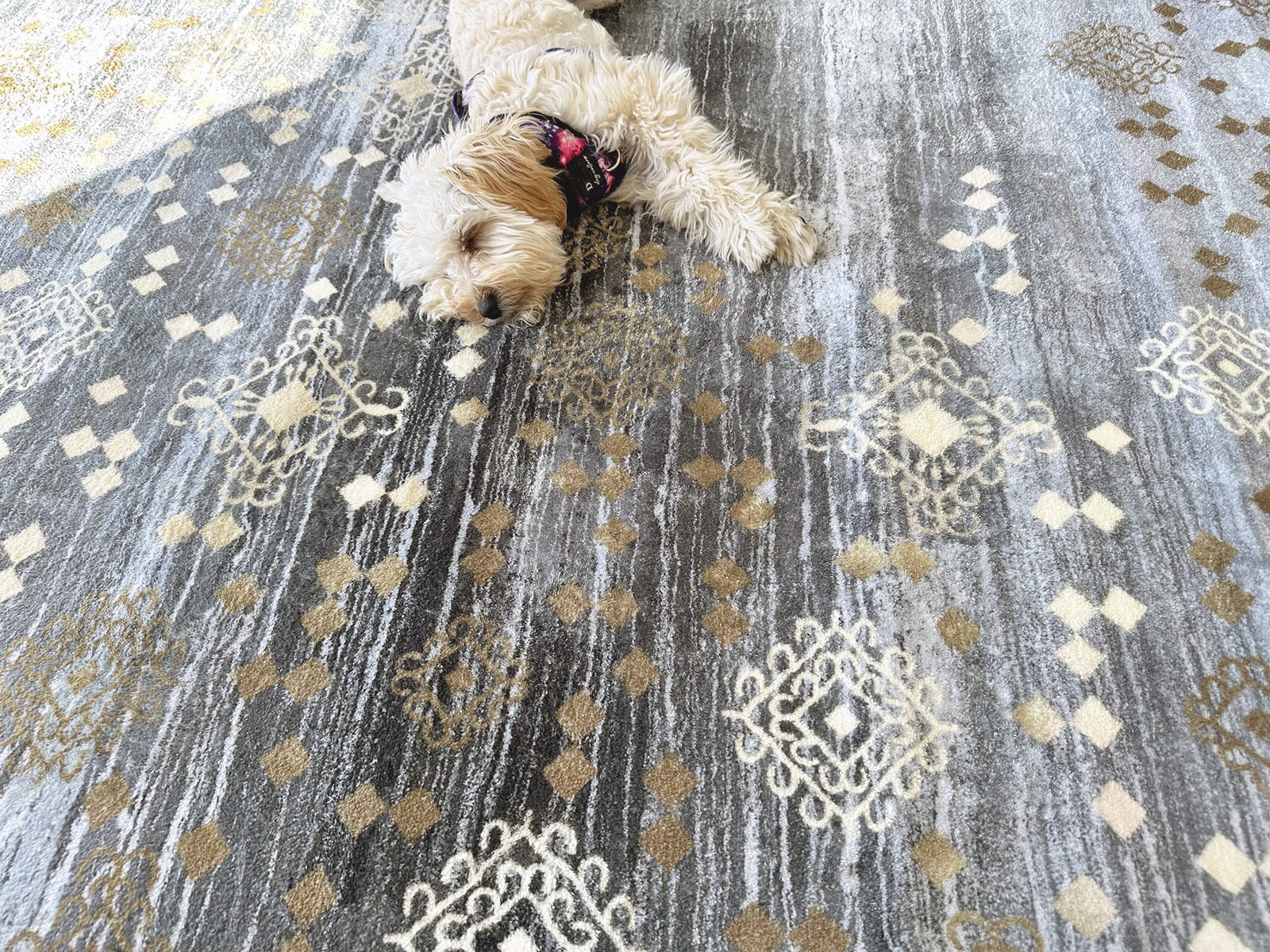 Large Lush Plush Fulfil Carpet Rug (230 x 160) - Image 9