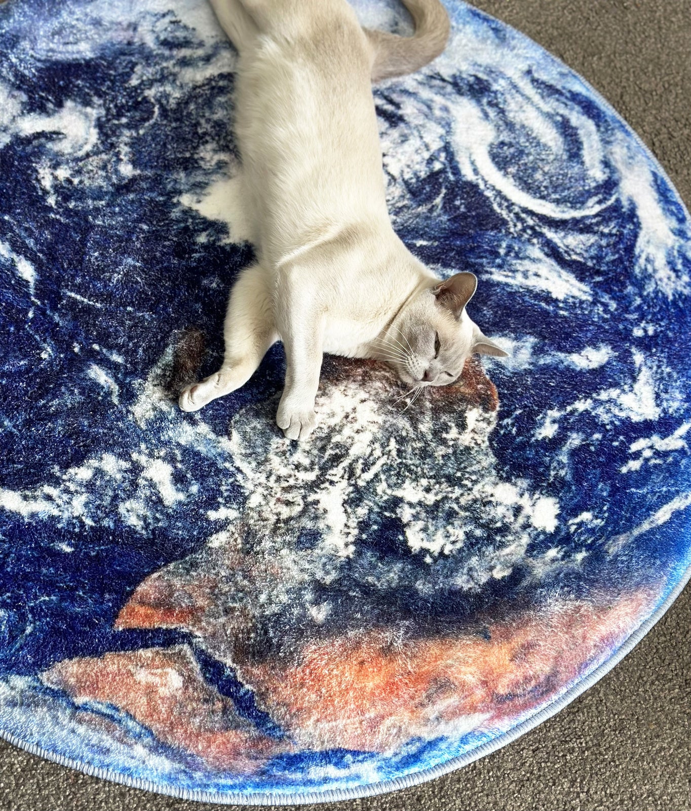 Lush Plush Infinity Earth Planet World Round Rug - Image 9