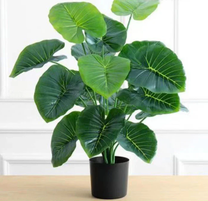 Pack of Two 18-Leaf Real Touch Artificial Elephant's Ears Plants Alocasia Trees In Pots - Image 12