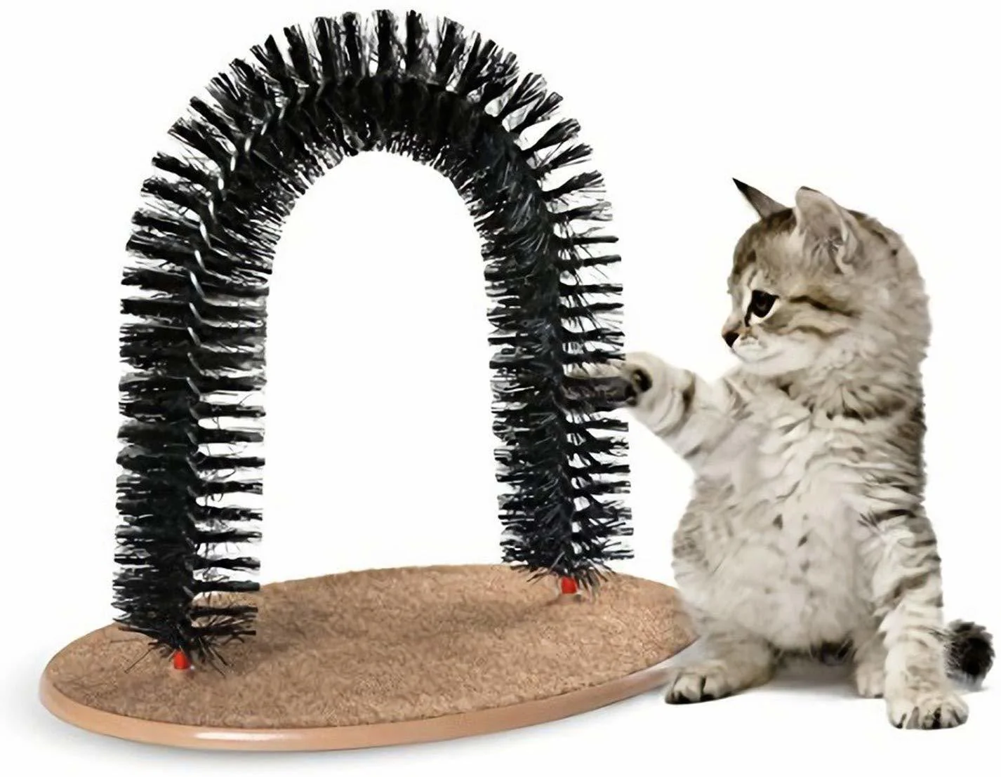 Perfect Arch Cat Toy Self Groomer Scratcher Massager All In One - Image 3
