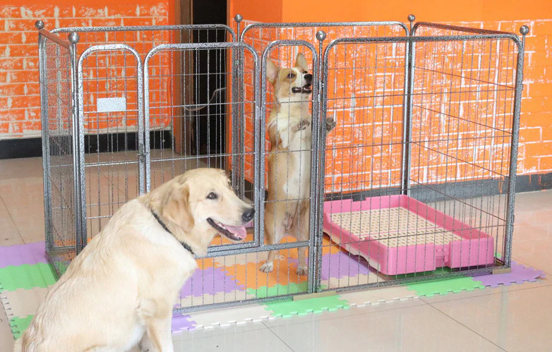 Premium Heavy Duty Metal Pet Dog Exercise Playpen Enclosure Fence Cage (70x80 x 6) - Image 7