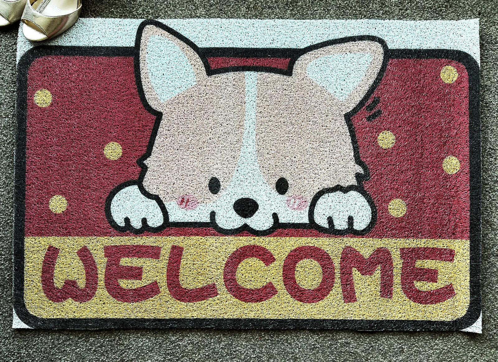 Super Absorbent Floor Bath Door Mat Non-Slip Rug Doormat - Cute Dog - Image 4