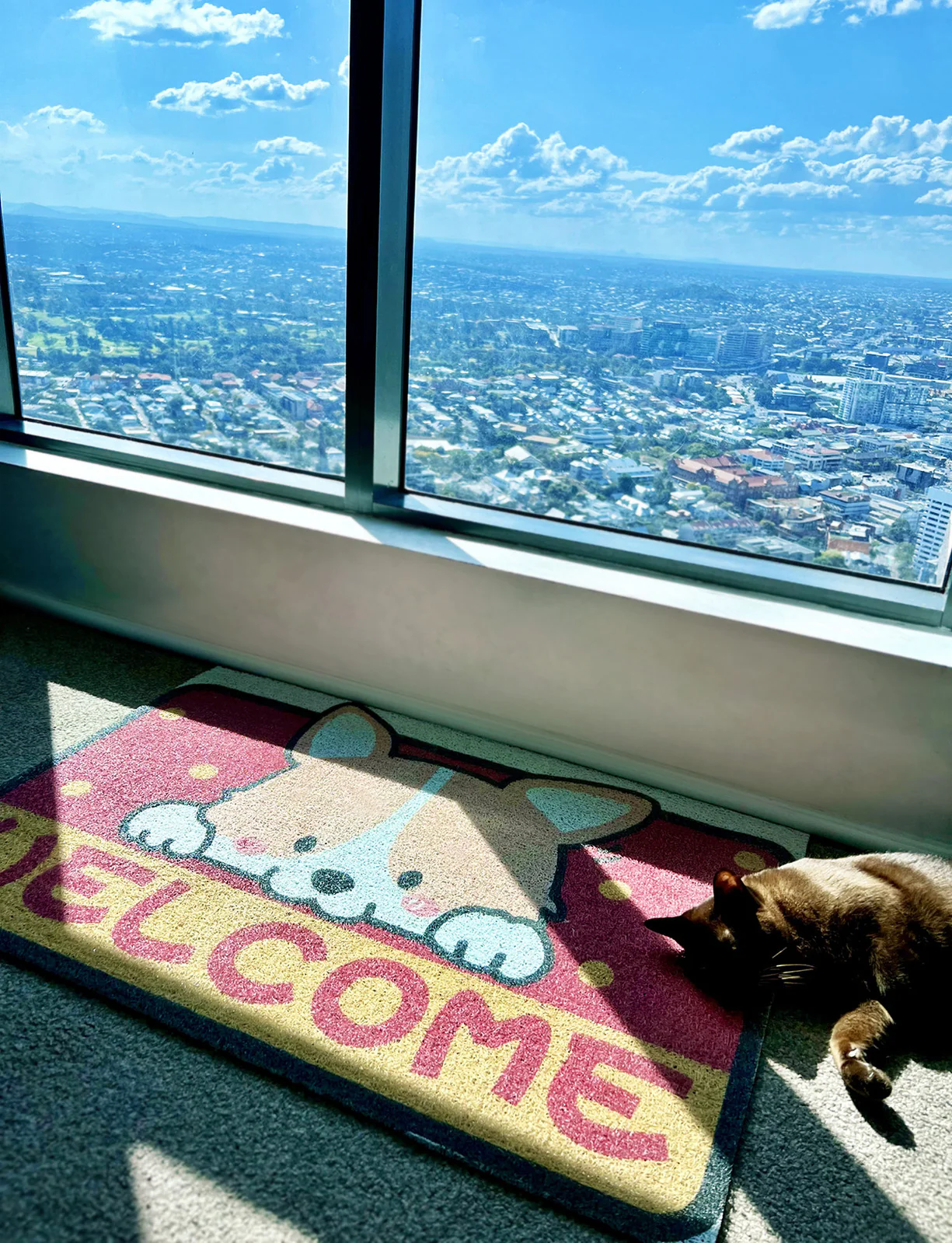 Super Absorbent Floor Bath Door Mat Non-Slip Rug Doormat - Cute Dog - Image 6