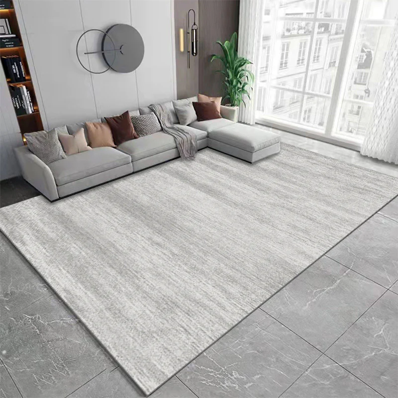 XL Extra Large Lush Plush Adobe Carpet Rug (300 x 200) - Image 10