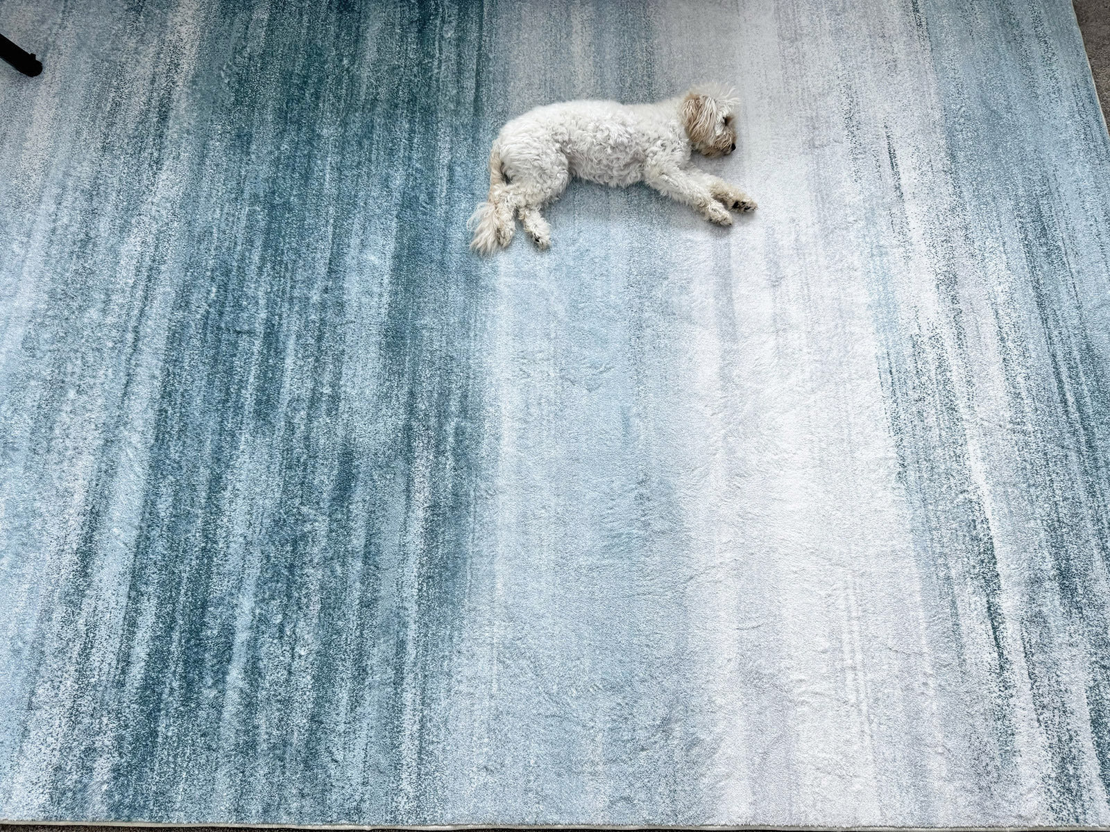 XL Extra Large Lush Plush Seaside Carpet Rug (300 x 200) - Image 18