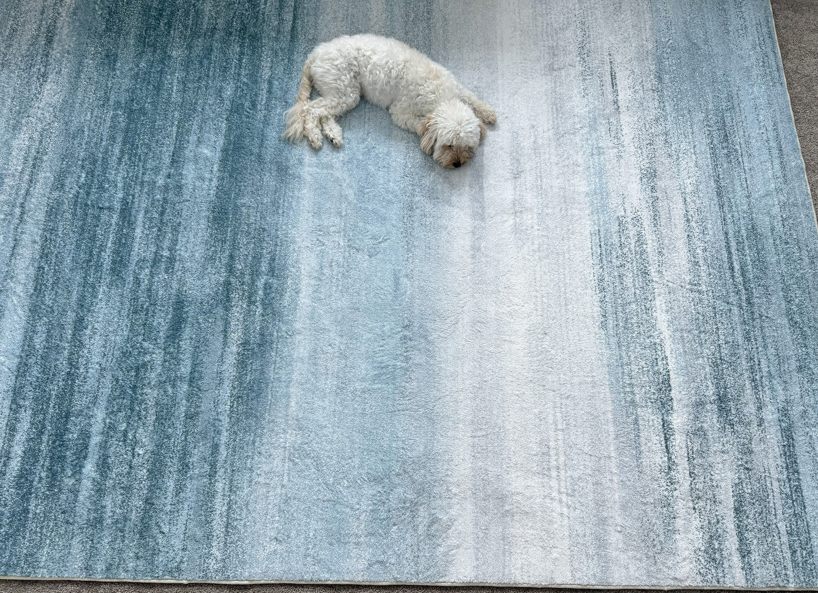 XL Large Lush Plush Seaside Carpet Rug (280 x 180) - Image 4